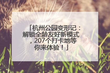 杭州公园变形记：解锁全龄友好新模式，207个打卡地等你来体验！