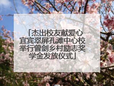 杰出校友献爱心 宜宾翠屏孔滩中心校举行曾剑乡村励志奖学金发放仪式