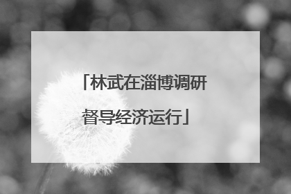 林武在淄博调研督导经济运行