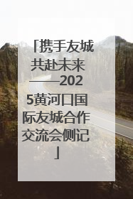 携手友城 共赴未来——2025黄河口国际友城合作交流会侧记