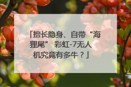 擅长隐身、自带“海狸尾” 彩虹-7无人机究竟有多牛？