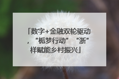 数字+金融双轮驱动，“栀梦行动”“浙”样赋能乡村振兴