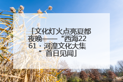文化灯火点亮夏都夜晚——“西海2261・河湟文化大集”首日见闻
