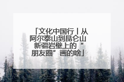 文化中国行丨从阿尔泰山到昆仑山 新疆岩壁上的“朋友圈”画的啥