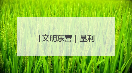 文明东营｜垦利区黄河口镇：让文明之风吹遍乡野