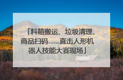 料箱搬运、垃圾清理、商品扫码……直击人形机器人技能大赛现场