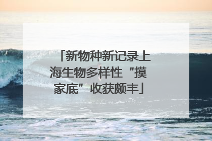 新物种新记录上海生物多样性“摸家底”收获颇丰
