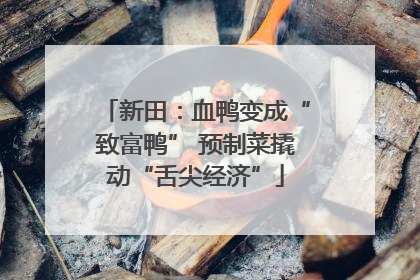 新田：血鸭变成“致富鸭” 预制菜撬动“舌尖经济”