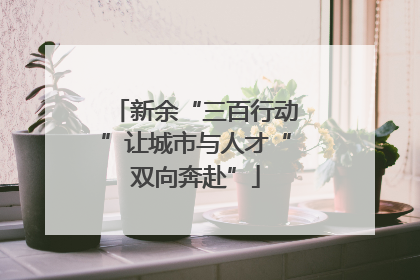 新余“三百行动”让城市与人才“双向奔赴”