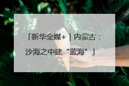 新华全媒+｜内蒙古：沙海之中建“蓝海”