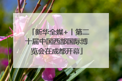 新华全媒+丨第二十届中国西部国际博览会在成都开幕