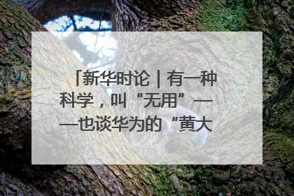 新华时论｜有一种科学，叫“无用”——也谈华为的“黄大年茶思屋”