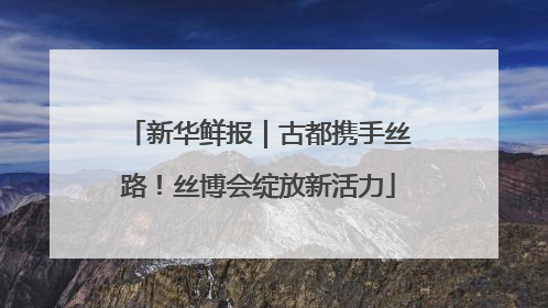 新华鲜报｜古都携手丝路！丝博会绽放新活力
