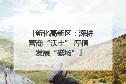 新化高新区：深耕营商“沃土” 厚植发展“磁场”