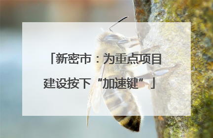 新密市：为重点项目建设按下“加速键”