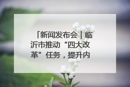 新闻发布会｜临沂市推动“四大改革”任务，提升内部审计监督效能