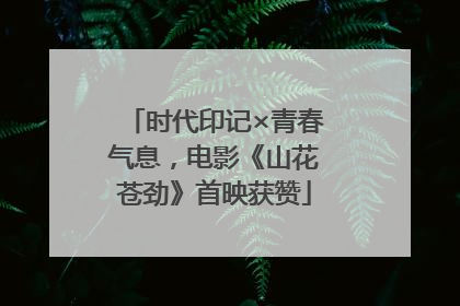 时代印记×青春气息，电影《山花苍劲》首映获赞