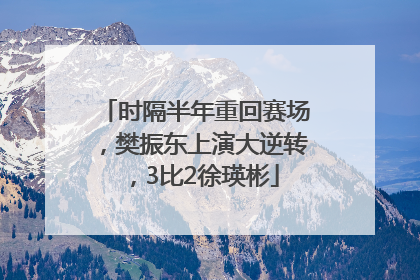 时隔半年重回赛场，樊振东上演大逆转，3比2徐瑛彬