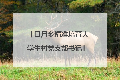 日月乡精准培育大学生村党支部书记