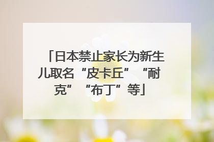 日本禁止家长为新生儿取名“皮卡丘”“耐克”“布丁”等
