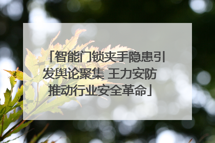 智能门锁夹手隐患引发舆论聚集 王力安防推动行业安全革命