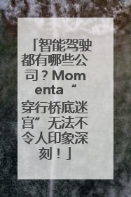 智能驾驶都有哪些公司？Momenta“穿行桥底迷宫”无法不令人印象深刻！