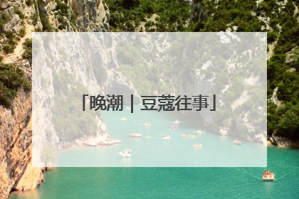 晚潮｜豆蔻往事