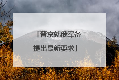 普京就俄军备提出最新要求