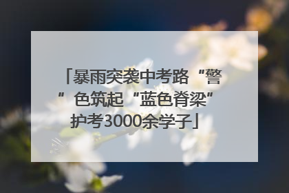 暴雨突袭中考路“警”色筑起“蓝色脊梁”护考3000余学子