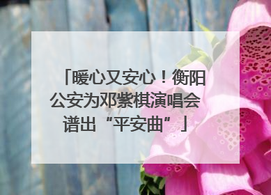暖心又安心！衡阳公安为邓紫棋演唱会谱出“平安曲”