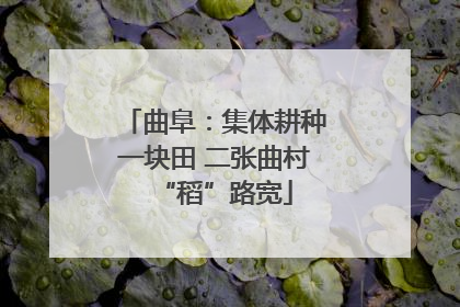 曲阜：集体耕种一块田 二张曲村“稻”路宽