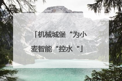 机械城堡“为小麦智能“控水“
