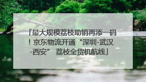 最大规模荔枝助销再添一码！京东物流开通“深圳-武汉-西安” 荔枝全货机航线