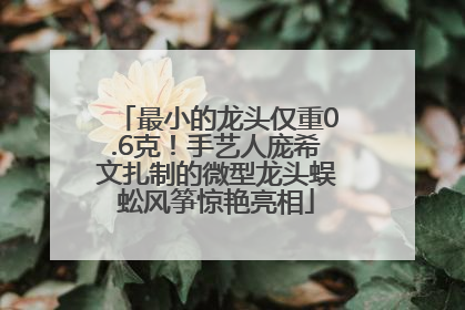 最小的龙头仅重0.6克！手艺人庞希文扎制的微型龙头蜈蚣风筝惊艳亮相