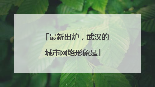 最新出炉，武汉的城市网络形象是