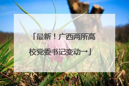 最新！广西两所高校党委书记变动→