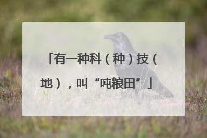 有一种科（种）技（地），叫“吨粮田”