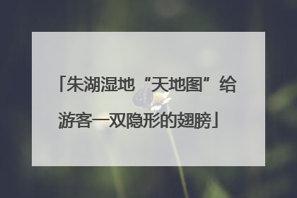 朱湖湿地“天地图”给游客一双隐形的翅膀