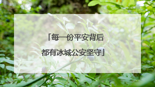 每一份平安背后 都有冰城公安坚守