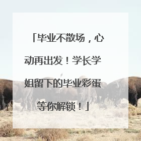 毕业不散场，心动再出发！学长学姐留下的毕业彩蛋等你解锁！