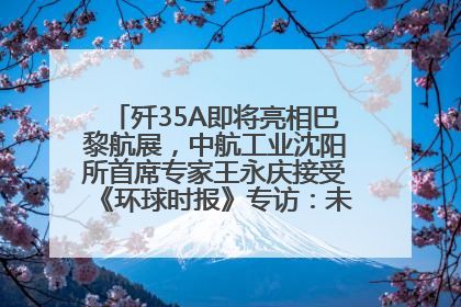 歼35A即将亮相巴黎航展，中航工业沈阳所首席专家王永庆接受《环球时报》专访：未来数量可以有很多