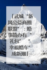 武城“新风公益商圈联盟”：婚事简办有“礼包” “幸福婚车”成新潮