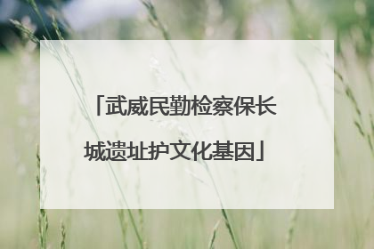 武威民勤检察保长城遗址护文化基因
