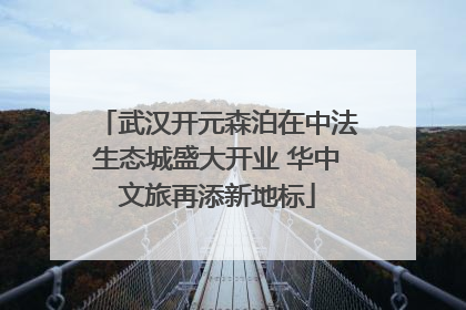 武汉开元森泊在中法生态城盛大开业 华中文旅再添新地标
