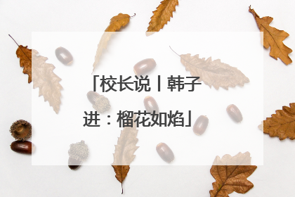 校长说丨韩子进：榴花如焰