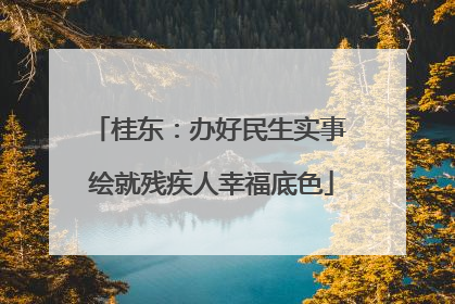 桂东：办好民生实事 绘就残疾人幸福底色