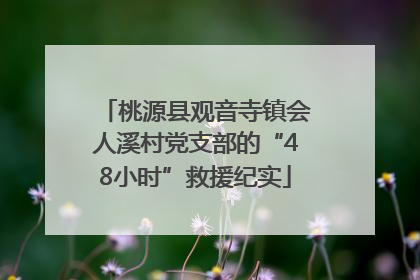 桃源县观音寺镇会人溪村党支部的“48小时”救援纪实