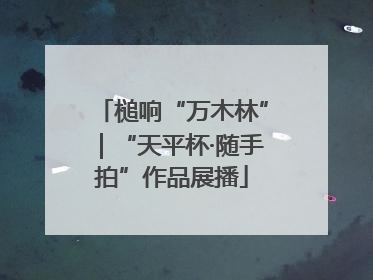 槌响“万木林”｜“天平杯·随手拍”作品展播
