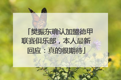 樊振东确认加盟德甲联赛俱乐部，本人最新回应：真的很期待