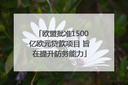 欧盟批准1500亿欧元贷款项目 旨在提升防务能力